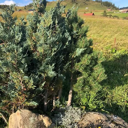 Haus Sonja Privat bolig