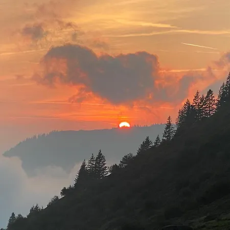 Haus Sonja Privat bolig *