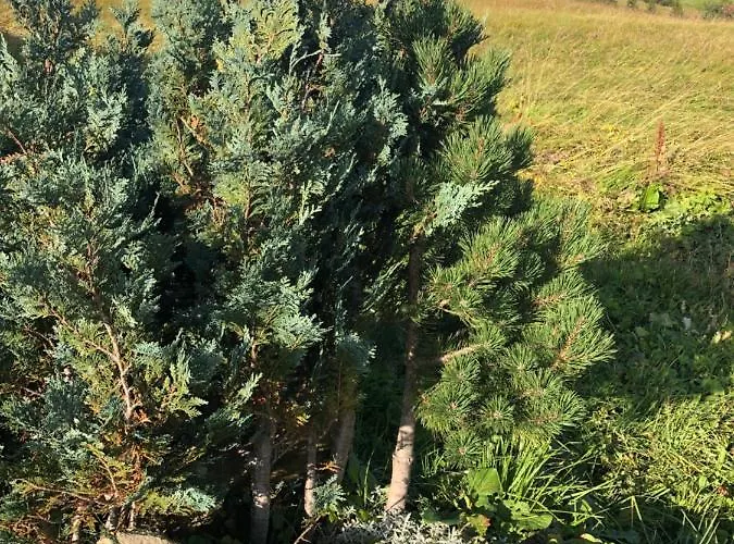 Haus Sonja Privatunterkunft