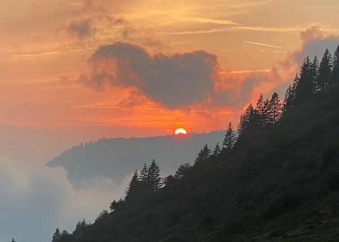 Haus Sonja Homestay *